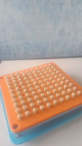 Imagen 1 de Tratamiento microdosis psilocibe 1 mes 