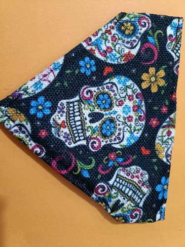 Imagen 1 de Bandana Chica 