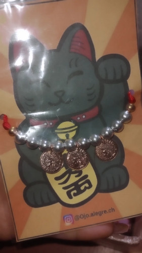 Imagen 1 de Pulsera atrae fortuna