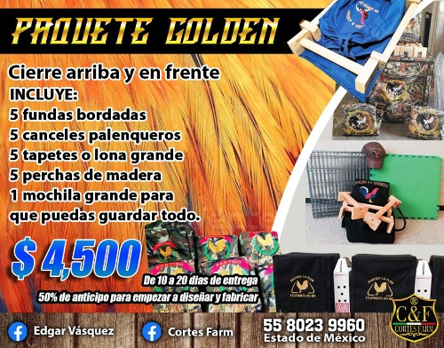 Imagen 1 de Paquete Golden 5 piezas 