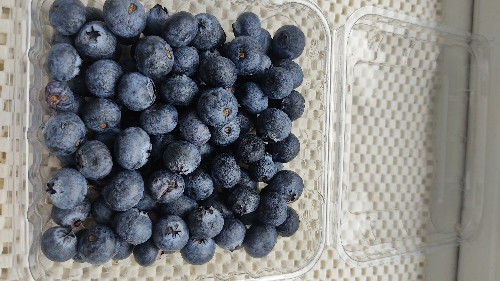 Imagen 1 de ARÁNDANO 250 GR CULTIVO LIMPIO