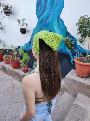 Imagen 1 de BANDANA
