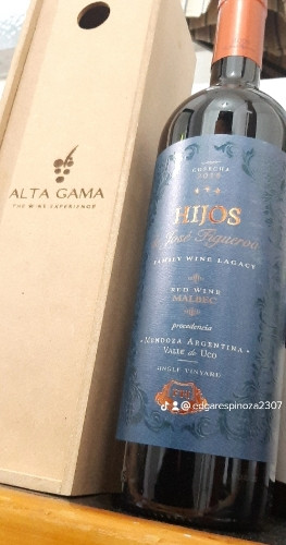 Imagen 1 de Hijos de José Figueroa Icono Malbec