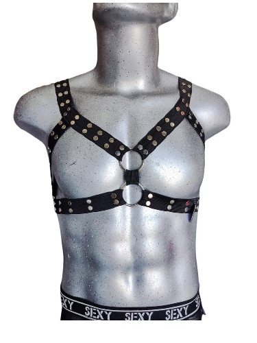 Imagen 1 de Arnés con aplicaciones 