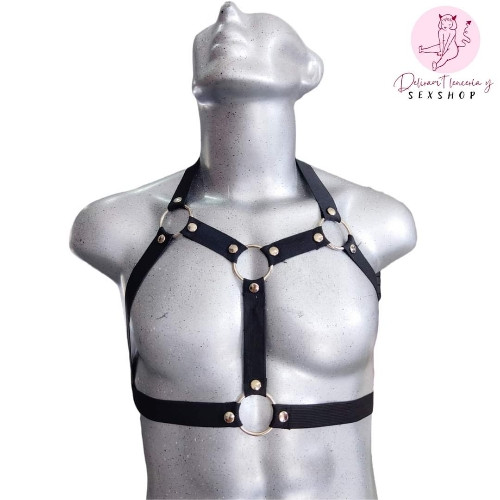 Imagen 1 de Arnés con aros metálicos 