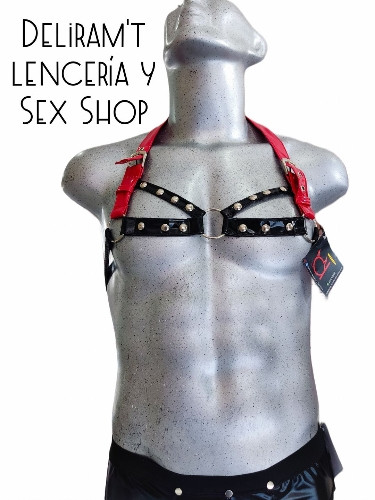 Imagen 1 de Arnés con correas ajustables 