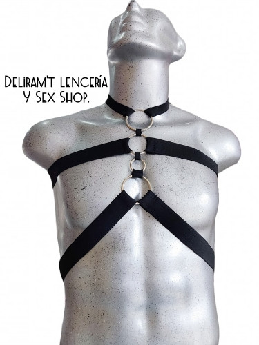 Imagen 1 de ARNÉS AROS 