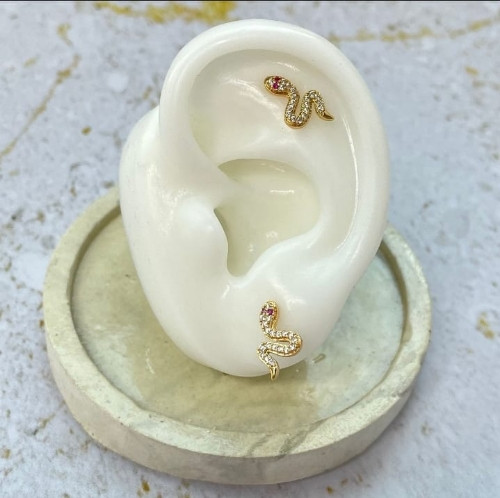 Imagen 1 de Aretes serpiente 