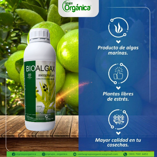 Imagen 1 de BIO-ALGAX