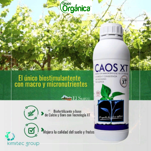 Imagen 1 de CAOS XT 