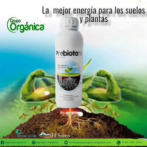 Imagen 1 de PREBIOTA MAX