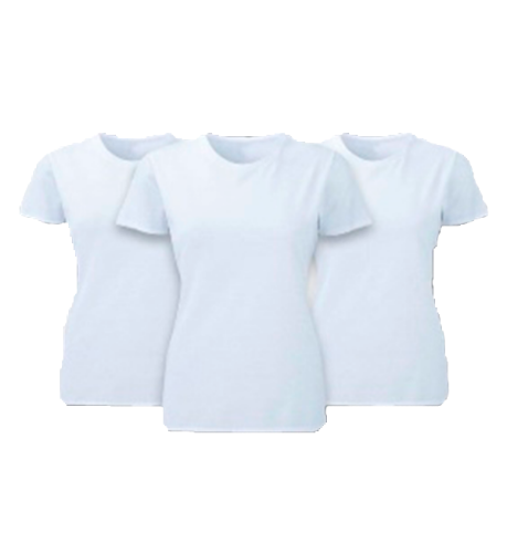Imagen 1 de Playera dama.