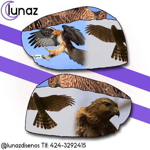 Imagen 1 de Aguila 
