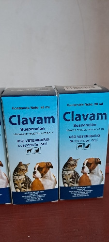 Imagen 1 de Clavam 20 ml 