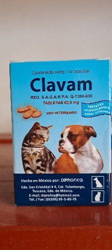 Imagen 1 de Clavam 62.5 tabletas 