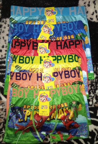 Imagen 1 de Boxer de Niños "Boy".