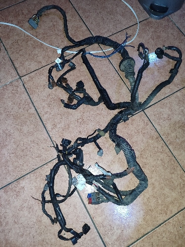 Imagen 1 de Arnés principal de motor tercel