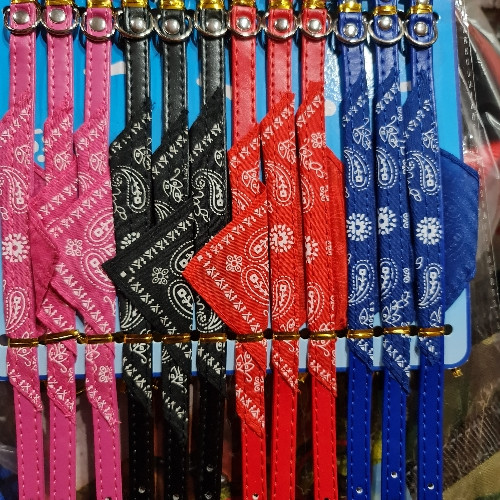 Imagen 1 de Collar con pañuelo