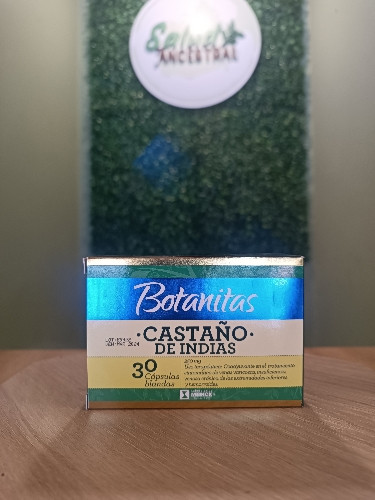 Imagen 1 de Castaño de indias x30 