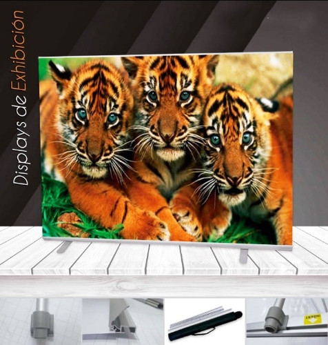 Imagen 1 de ROLLSCREEN 2.40 x 2.00m
