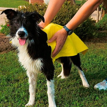 Imagen 1 de (S) Toallas absorbentes para mascotas