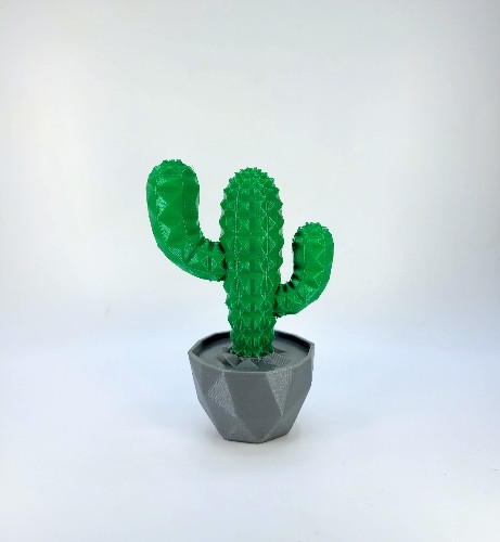 Imagem 1 de Cacto Decorativo 