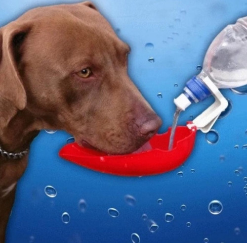 Imagem 1 de Bebedouro portatil para Pets (viagens e passeios) capacidade 30 ml