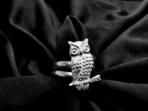 Imagen 1 de Anillo búho protector 