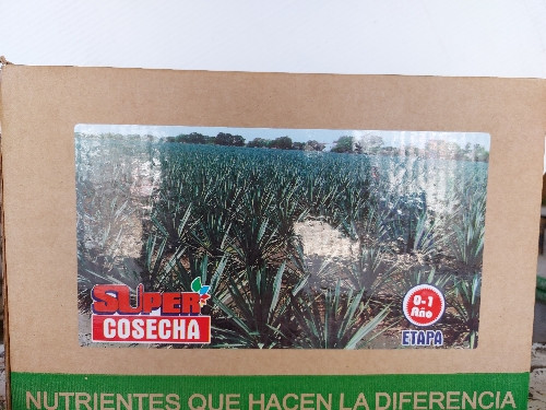 Imagen 1 de Agave super cosecha 0 a 1 año