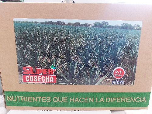 Imagen 1 de Agave super cosecha 2 a 3 años