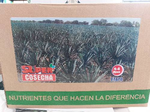 Imagen 1 de Agave super cosecha de 4 a 6 años