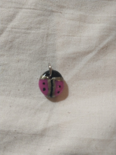 Imagen 1 de Dije LADYBUG