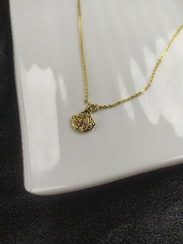 Imagen 1 de Almeja C