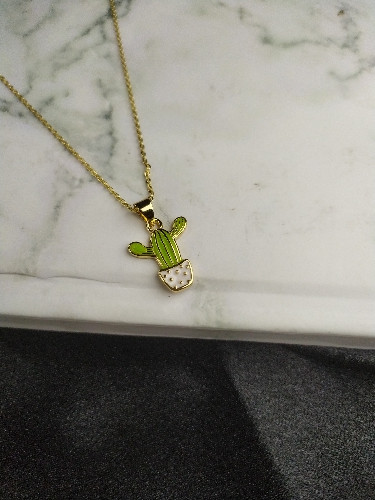 Imagen 1 de cactus C