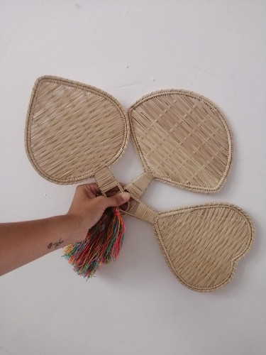 Imagen 1 de ABANICO EN IRACA 