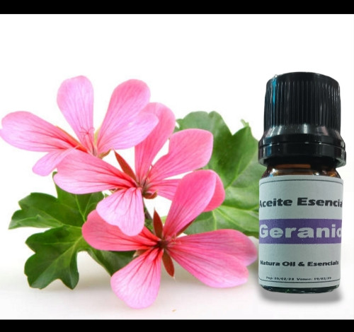 Imagen 1 de Aceite Esencial de Geranio 30ml