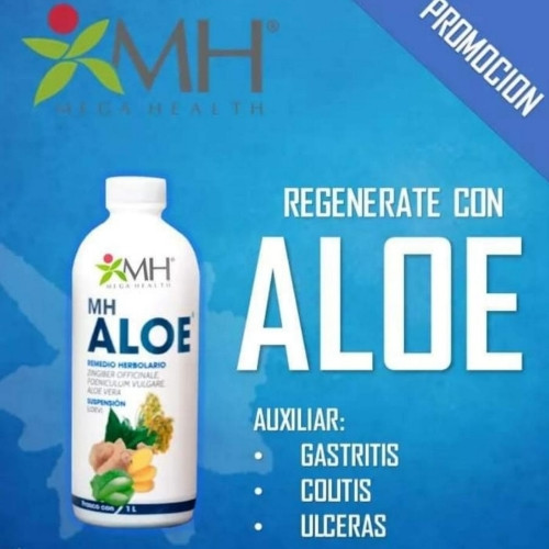 Imagen 1 de ALOE con JENGIBRE 