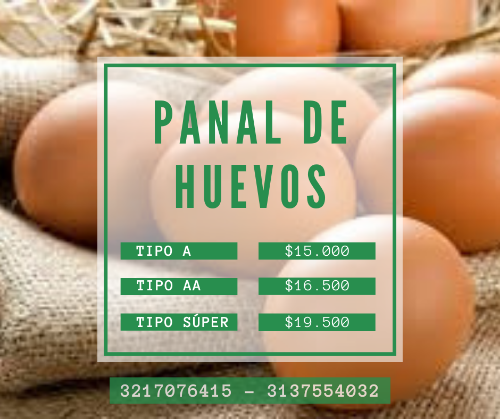 Imagen 1 de Panal de Huevos AA