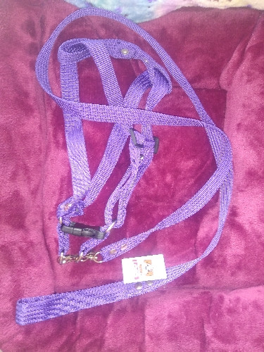 Imagen 1 de  Correa con pechera lisa mediana 