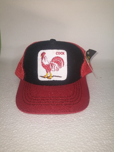 Imagen 1 de Gorra goorin Bross gallito 