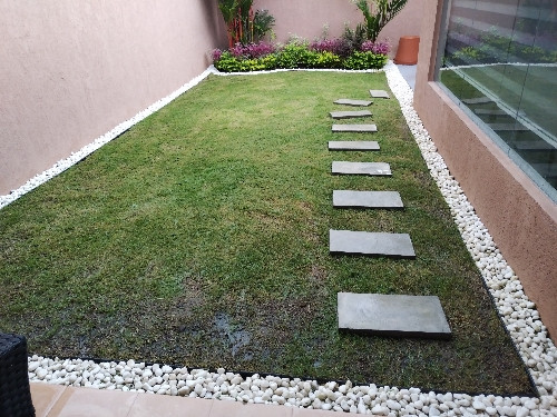 Imagen 1 de Mantenimiento de jardines 