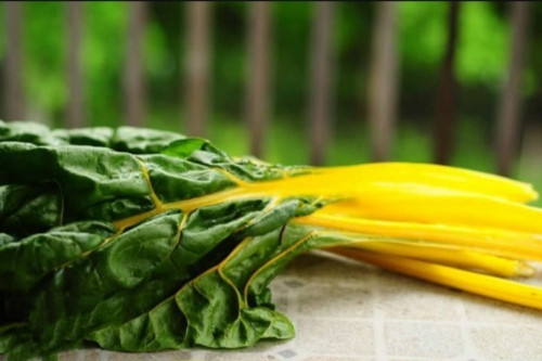 Imagen 1 de Acelga Amarilla 250 gr.