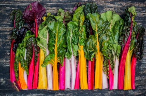 Imagen 1 de Acelga de Colores 500 gr.