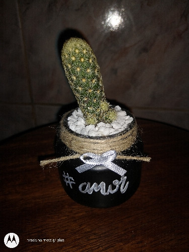 Imagem 1 de Mini vasos 