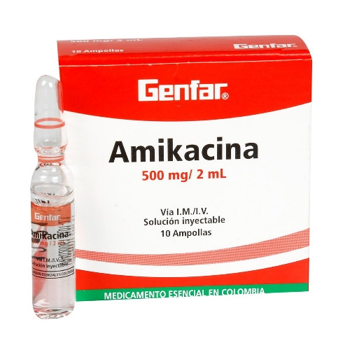 Imagen 1 de Amikacina