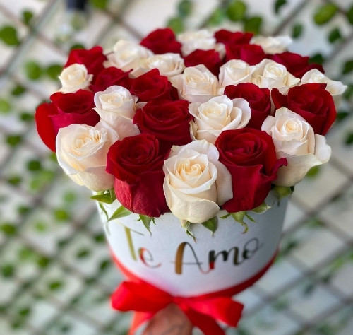 Imagen 1 de AMOR FLORECIENTE