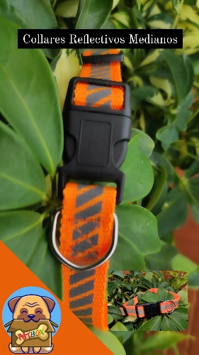 Imagen 1 de Collar Reflectivo Mediano