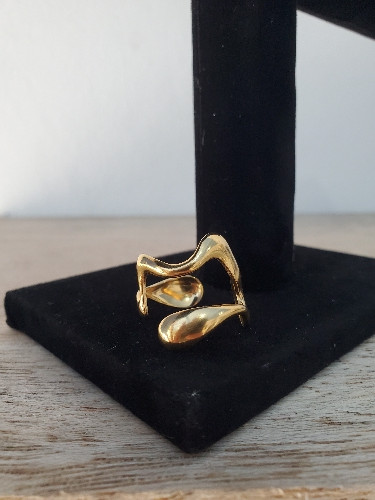 Imagen 1 de Anillo irregular