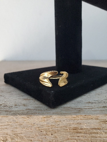 Imagen 1 de Anillo doble