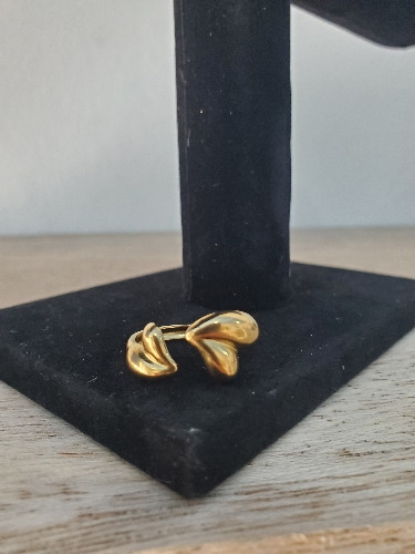 Imagen 1 de Anillo doble corazón 